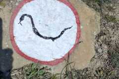 WhatsApp-Image-2025-03-17-at-19.25.58-1