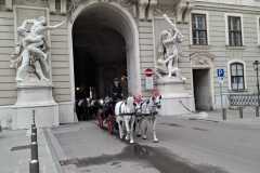 WhatsApp-Image-2025-10-28-at-08.12.38-2 WhatsApp-Image-2025-10-28-at-08.12.38-2